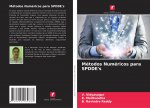 Metodos Numericos para SPDDE's