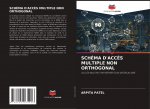 Schema d'Acces Multiple Non Orthogonal