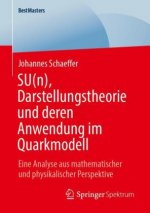 SU(n), Darstellungstheorie und deren Anwendung im Quarkmodell