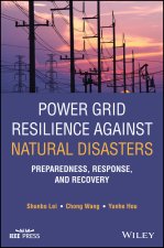 Power Grid Resilience against Natural Disasters - Preparedness, Response, and Recovery