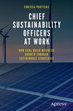 Chief Sustainability Officers At Work