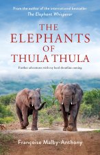 Elephants of Thula Thula