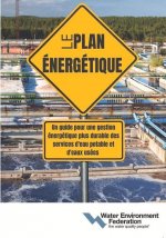 Le Pain Energetique (The Energy Roadmap, French Edition)