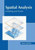 Spatial Analysis: Modeling and Trends