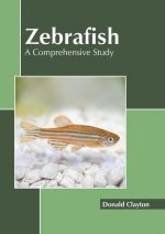 Zebrafish: A Comprehensive Study
