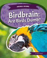 Animal Idioms: Birdbrain: Are Birds Dumb?