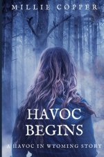 Havoc Begins