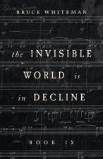 The Invisible World Is in Decline Book IX
