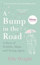 BUMP IN THE ROAD