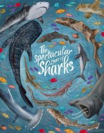 Spectacular Lives of Sharks