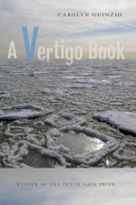 A Vertigo Book