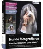 Hunde fotografieren - Kreative Bilder mit 