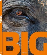 Big