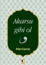 Akarsu Gibi Ol