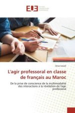 L'agir professoral en classe de francais au Maroc