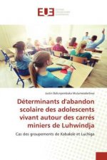 Determinants d'abandon scolaire des adolescents vivant autour des carres miniers de Luhwindja