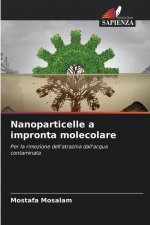 Nanoparticelle a impronta molecolare
