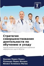 Стратегия совершенство&#