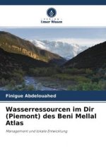 Wasserressourcen im Dir (Piemont) des Beni Mellal Atlas