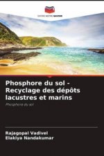Phosphore du sol - Recyclage des depots lacustres et marins
