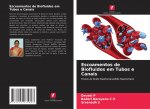 Escoamentos de Biofluidos em Tubos e Canais