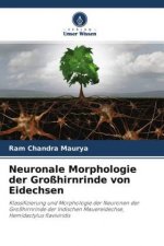 Neuronale Morphologie der Grosshirnrinde von Eidechsen