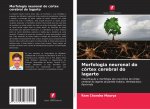 Morfologia neuronal do cortex cerebral do lagarto