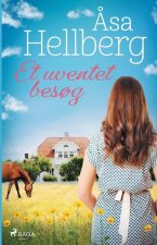 Et uventet besog