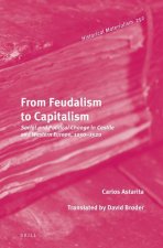 From Feudalism to Capitalism: Social and Political Change in Castile and Western Europe, 1250-1520