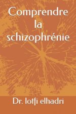 Comprendre la schizophrenie