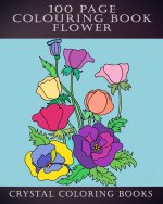 100 Page Colouring Book