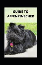 Guide to Affenpinscher