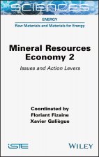 Mineral Resource Economy 2 - Issues and Action Levers