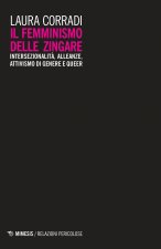 femminismo delle zingare. Intersezionalità, alleanze, attivismo di genere e queer