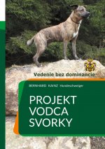 Projekt
