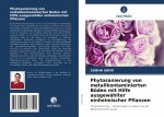 Phytosanierung von metallkontaminierten Böden mit Hilfe ausgewählter einheimischer Pflanzen