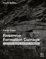 Reservoir Formation Damage