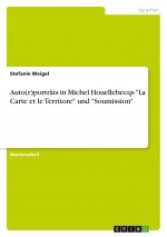 Auto(r)porträts in Michel Houellebecqs 