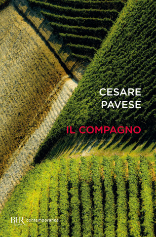 compagno