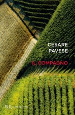 compagno