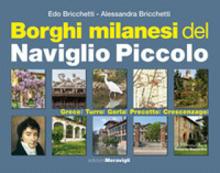 Borghi milanesi del Naviglio piccolo. Greco, Turro, Gorla, Precotto, Crescenzago