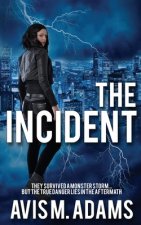 Incident