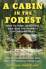 Cabin in The Forest