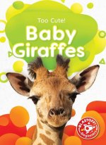 Baby Giraffes