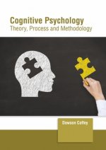 Cognitive Psychology: Theory, Process and Methodology