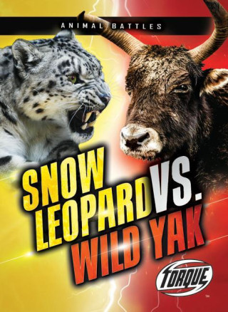 Snow Leopard vs. Wild Yak