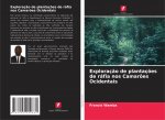Exploraç?o de plantaç?es de ráfia nos Camar?es Ocidentais
