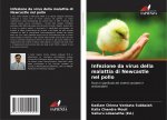 Infezione da virus della malattia di Newcastle nel pollo