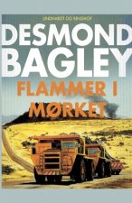 Flammer i morket