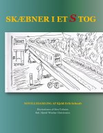 Skaebner i et s-tog